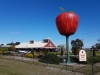 The Big Apple - Applethorpe