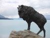 Tahr