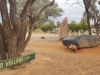 Fred Hollows Grave