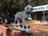 The Loaded Dog - there is a cache here ...