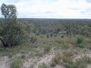 View from Mt Moffatt