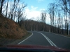 Regrowth from the February Bushfires
