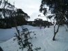 Rachael on short skis