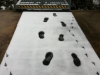 Footprints in the Fresh Snow ...
