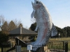 Big Fish - Adaminaby