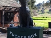 Dog on the Tuckerbox, Gundagai