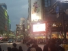 Shibuya Crossing