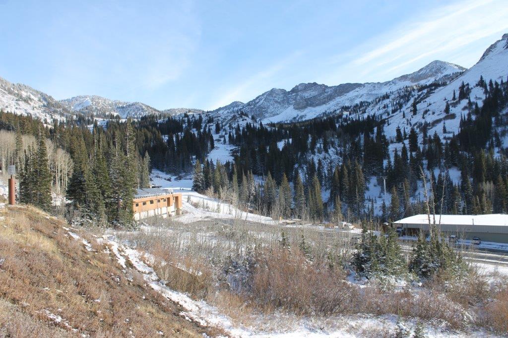 Snowbird Snowbird