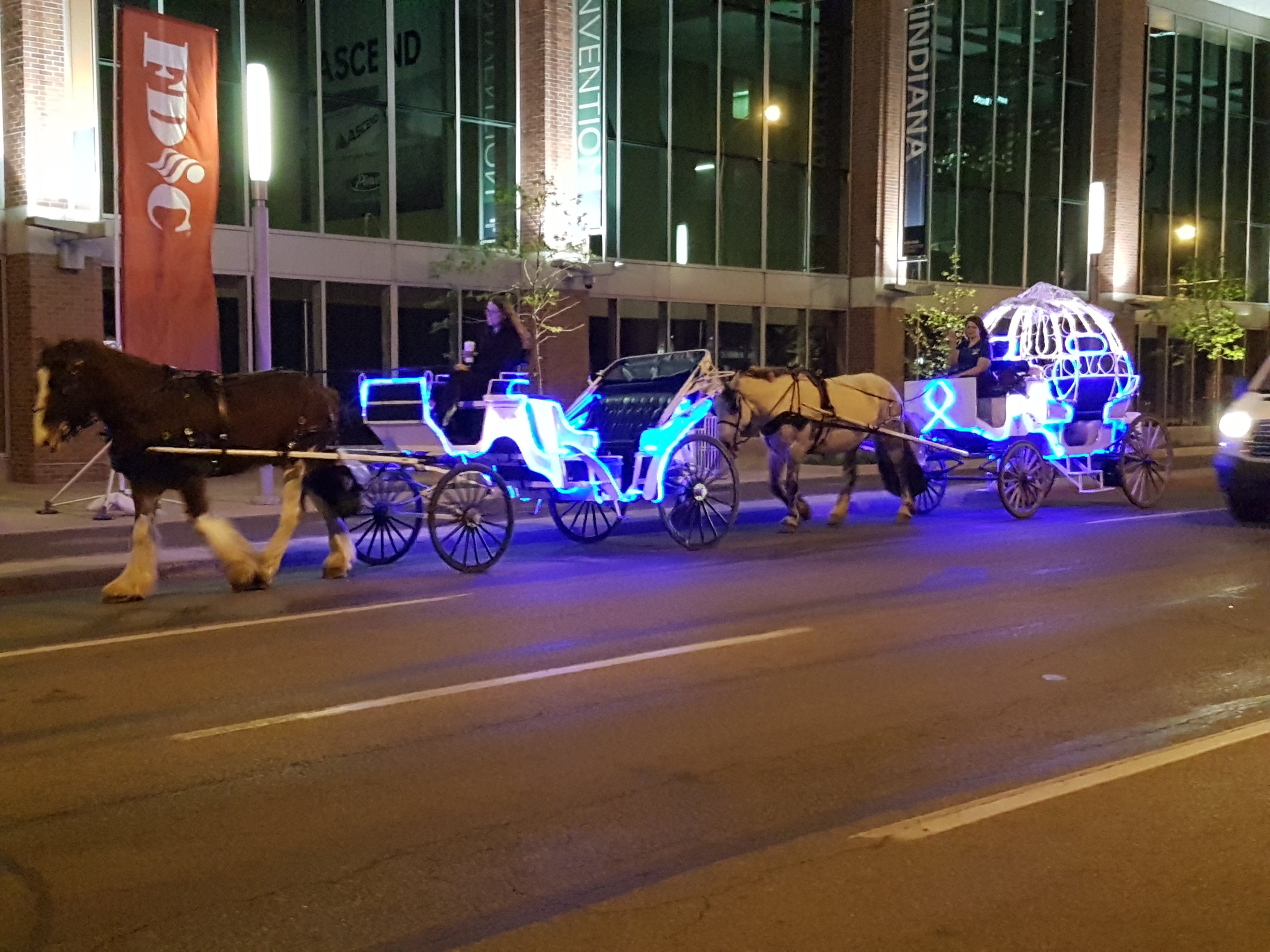 Indy Horse Carriages