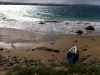 Parked on the Beach